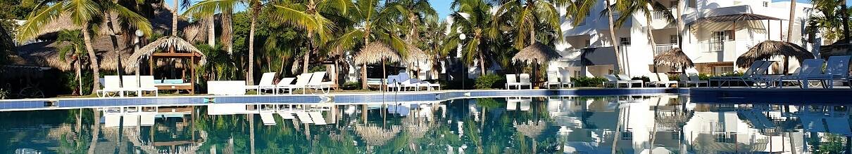 Commercial pool filter