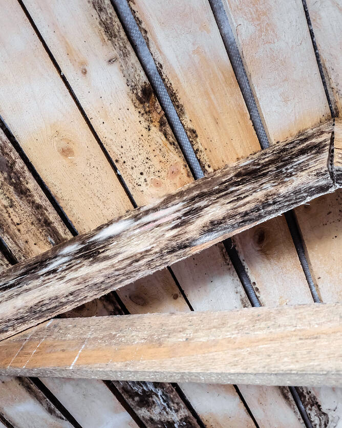 Pool Hall Condensation Damaged Wood