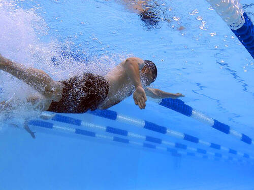 Commercial swimming pool filter media